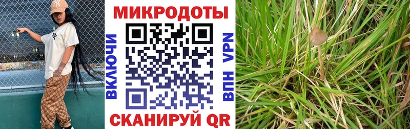 Псилоцибиновые грибы Magic Shrooms ссылка на мегу как зайти Темрюк